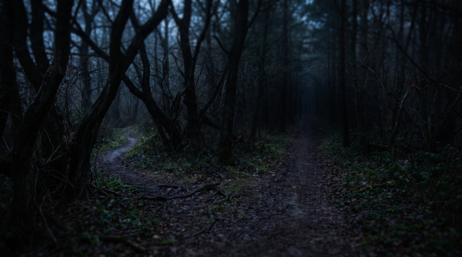 Two paths diverging in a dark forest, one curving back